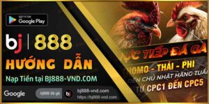 top 1 nhà cái đá gà uy tín BJ888-VND.COM