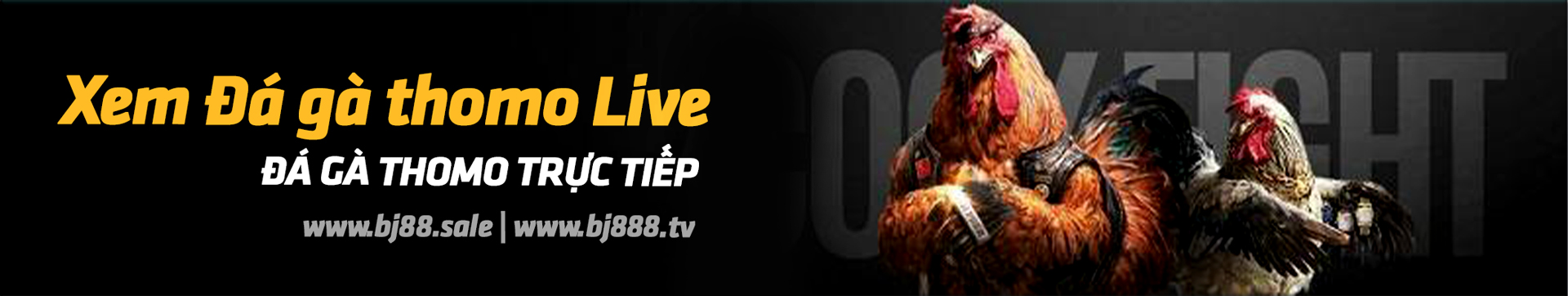 BJ888 Đại lý chính thức của nhà cái BJ888 ME tại Việt Nam 1 bj88 da ga truc tiep