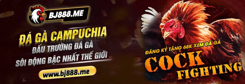 Các kinh nghiệm cá cược đá gà tại BJ88 và giải đáp thắc mắc 1 word image 1542 1