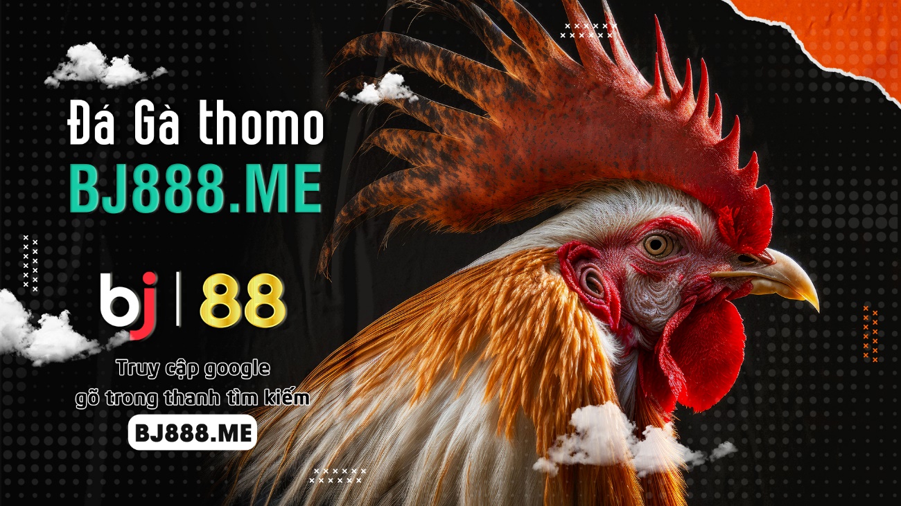 Các kinh nghiệm cá cược đá gà tại BJ88 và giải đáp thắc mắc 3 word image 1542 3