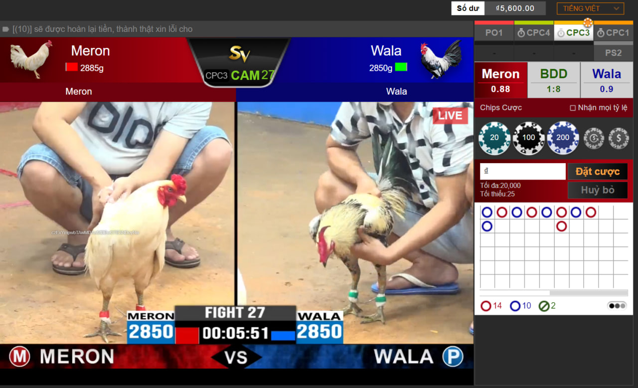 Các kinh nghiệm cá cược đá gà tại BJ88 và giải đáp thắc mắc 4 word image 1542 4