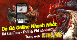 ĐÁ GÀ ONLINE