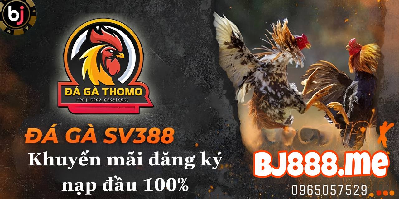 KHUYẾN MÃI ĐĂNG KÝ NẠP ĐẦU TẠI BJ88 1 bj88 đá gà