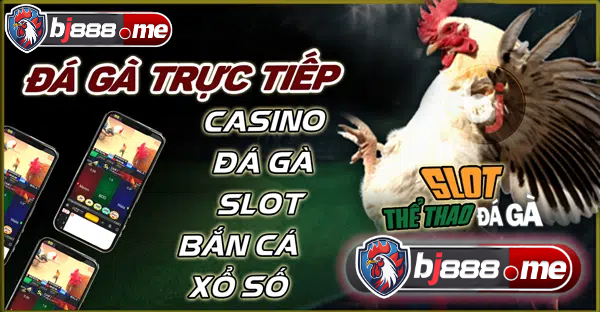 BJ88 CÓ UY TÍN KHÔNG ? - Tất cả sự thật khi tham gia tại trang bj88 1 đá gà thomo