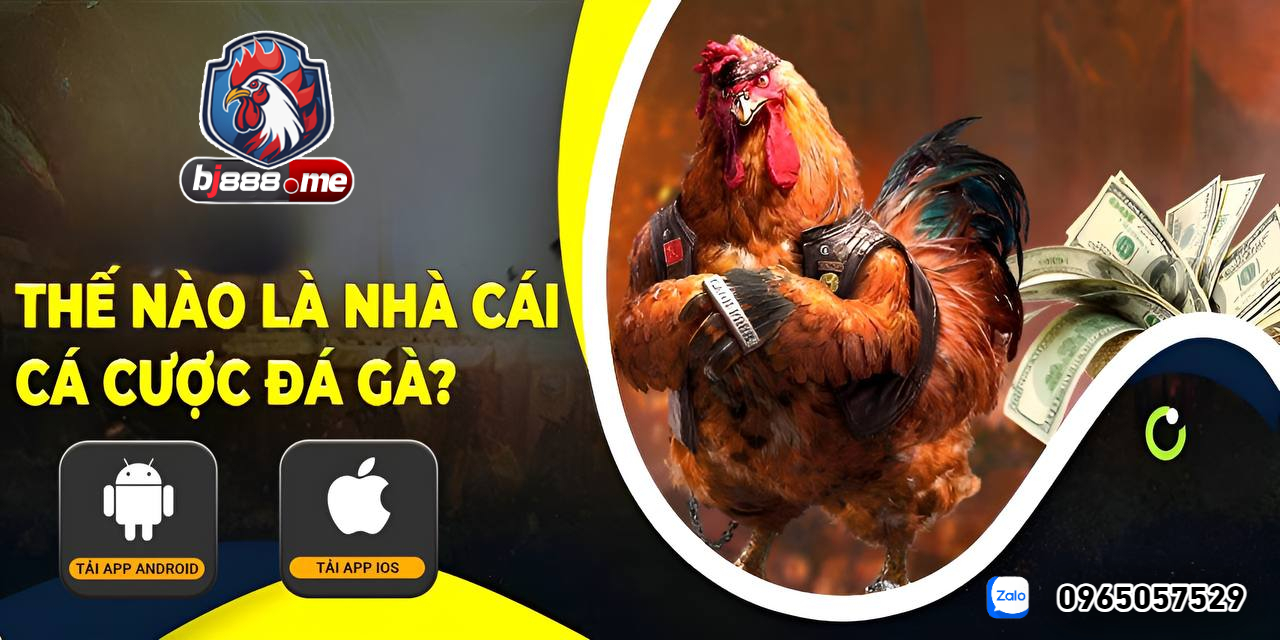 BJ88 KHÁM PHÁ TÍNH NĂNG ĐỘC ĐÁO TẠI NHÀ CÁI ĐÁ GÀ THOMO 1 đá gà trực tiếp