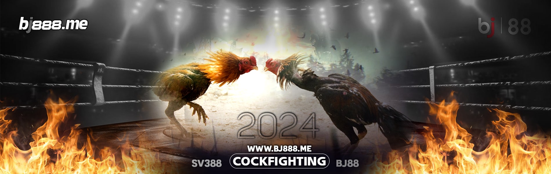 ĐÁ GÀ BJ88 | TRANG CHỦ ĐỘC QUYỀN THOMO BJ888.ME