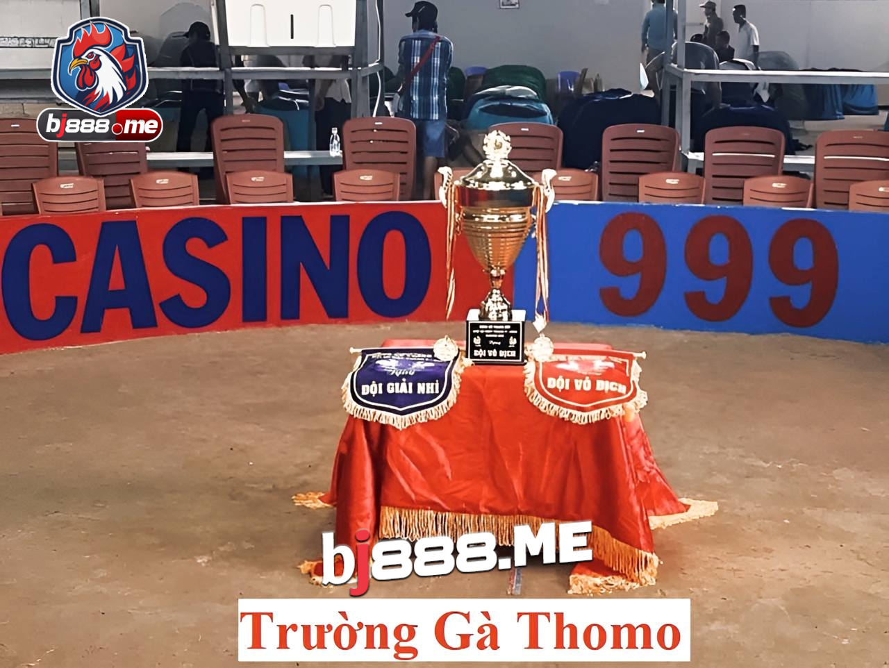 ĐÁ GÀ THOMO Ở ĐÂU ? 1 Untitled Project 2024 02 02T165401.899