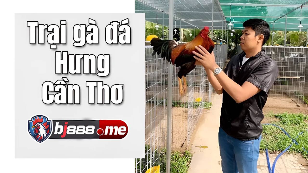 Trại gà Hưng Cần Thơ 