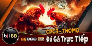 photo 2024 05 25 11 32 13