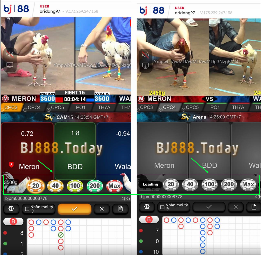 tùy chỉnh phỉnh cược và đặt cược 