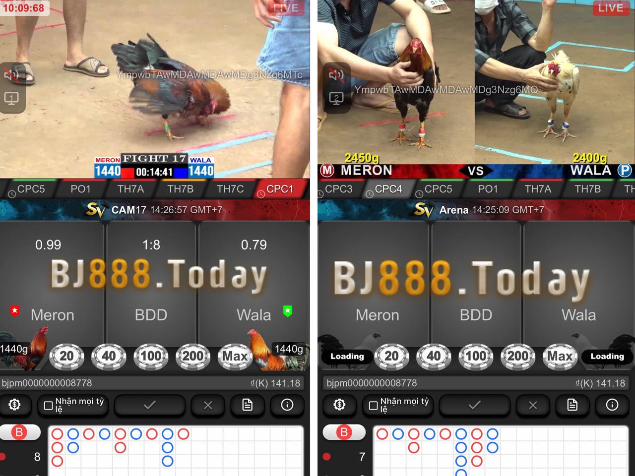 Theo dõi trận đấu với giao diện bắt mắt 