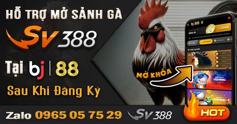 BẢO TRÌ ĐÁ GÀ TẠI BJ888