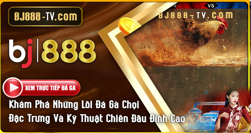 BJ888 Đá gà trực tiếp - Xem đá gà miễn phí tại BJ88