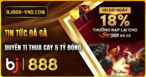 BJ888 đá gà trực tiếp là gì?