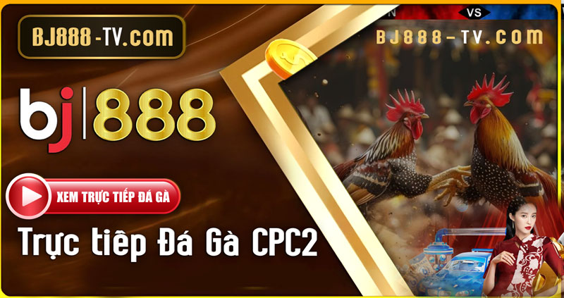 Thể thao BJ888 - Sảnh CMD, Saba sport, SBO Bet, United gaming 2025