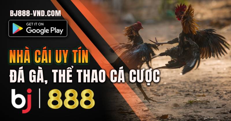 Đăng nhập xem đá gà, các cược thể thao BJ888