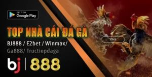 Khuyến mãi hoàn trả đá gà tại bj888