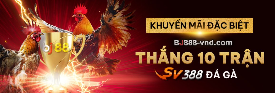 Sự kiên Đá gà trực tiếp - độc quyền bởi nhà cái BJ888 tại Việt Nam