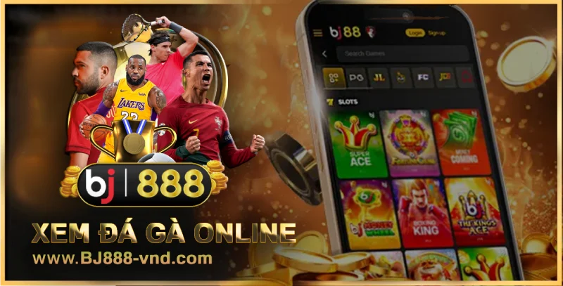 Nhà cái thể thao bóng đá