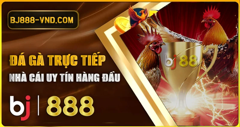 Tham gia cùng thế giới đá gà chọi trực tuyến tại BJ888