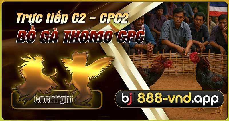 Gây cấn từng trận đá gà C2 tại BJ888
