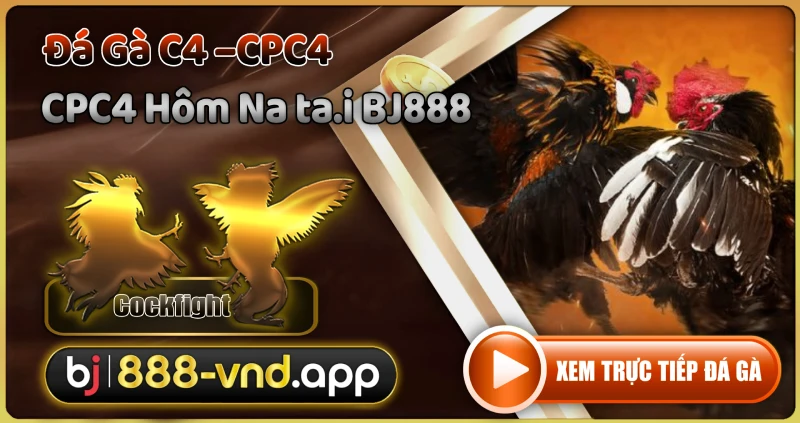 CPC4 Hôm Nay Tại nền tảng BJ888