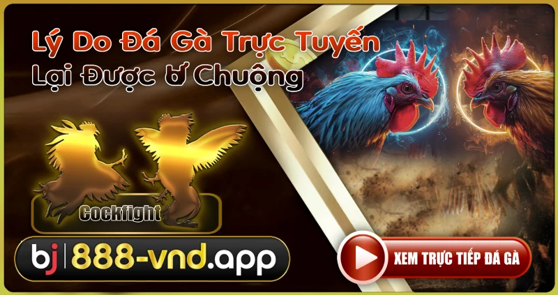 Lý Do Đá Gà Trực Tuyến Lại Được Ưa Chuộng