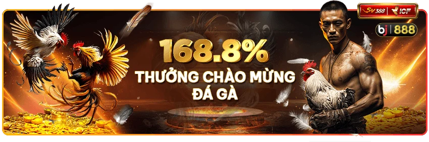 bj888-da-ga-truc-tiep